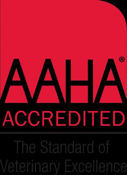 AAHA Accredited
