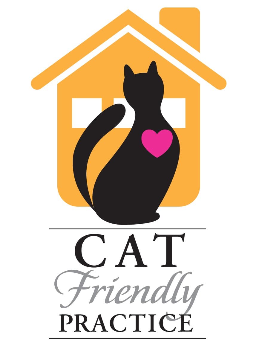 Cat Friendly Practice Gold Certification